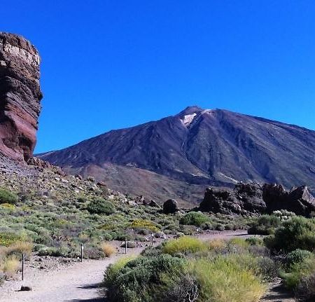 Marody Tenerife House El Médano المظهر الخارجي الصورة