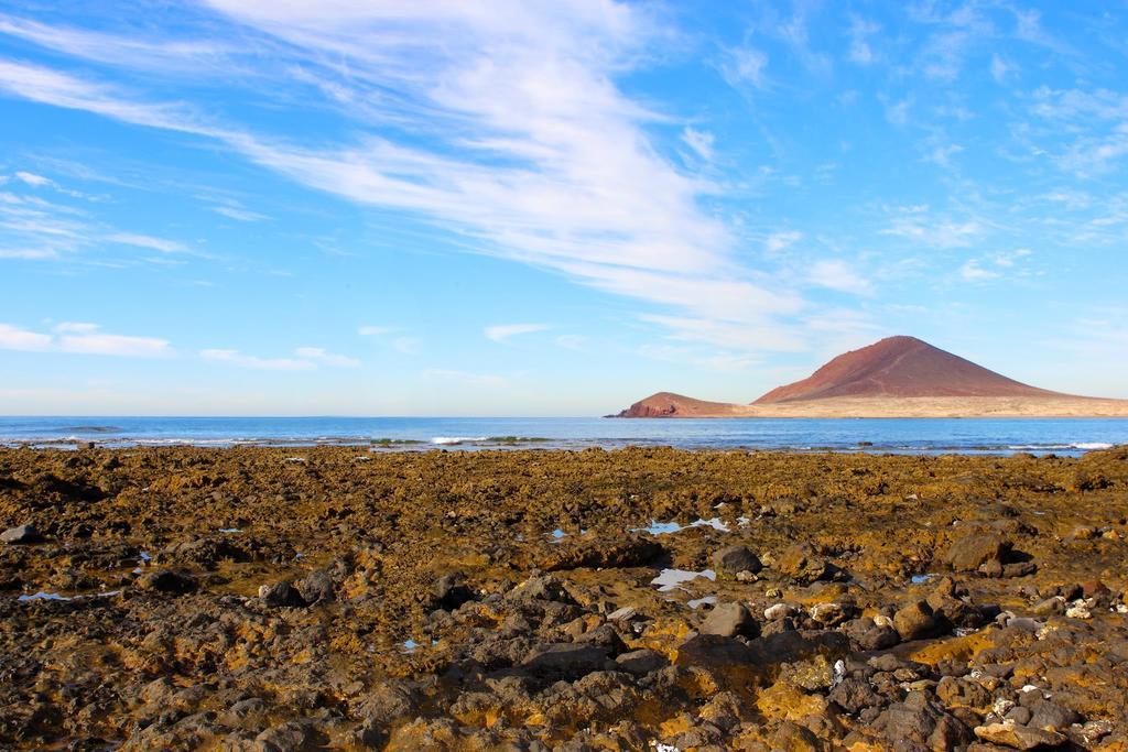 Marody Tenerife House El Médano المظهر الخارجي الصورة