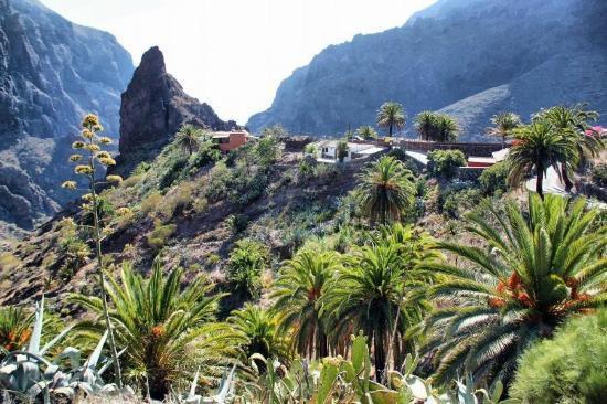 Marody Tenerife House El Médano المظهر الخارجي الصورة